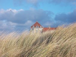 distant view of a big house through dry tall grass