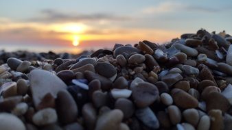 beach pebbles at sunset background close up