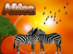 wild African animals