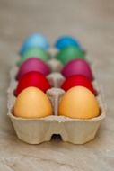 colorful easter eggs in a tray
