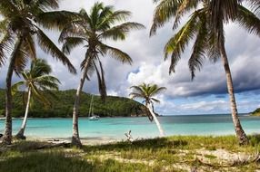 picturesque tropical island in the caribbean