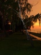 beach promenade along the lake