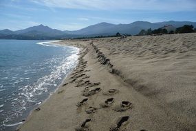 landscape of footprints on the sand beach near the north sea