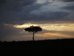 Yellow sunset in the clouds