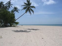 scenic sandy tropical beach