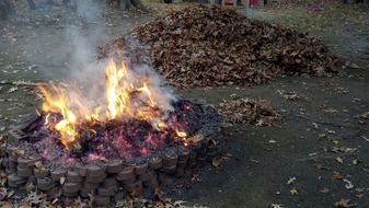 fallen leaves burning in fire pit