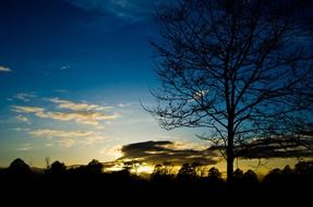 Beautiful spring evening