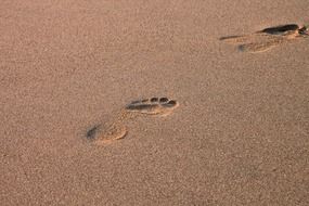 footprints of man on a tropical beach