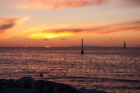 irresistible sea horizon