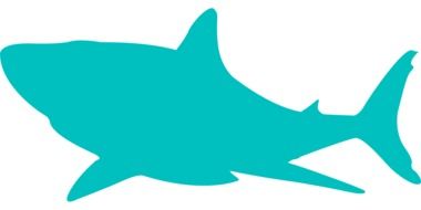 shark dangerous ocean creature vector drawing