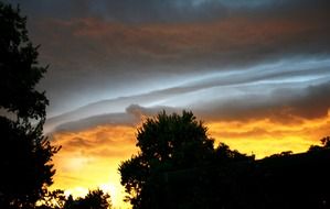 unusual orange striped sunset over the forest