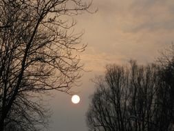 sunset trees sky gloomy mystical