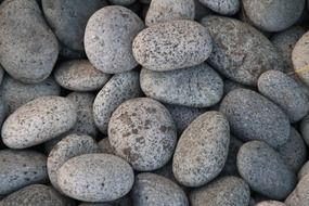 plump pebbles macro