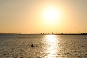 beautiful sunrise over the ocean