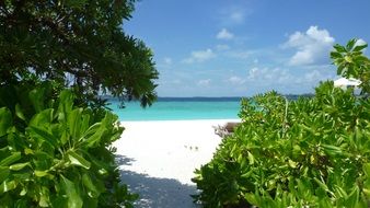 panorama of paradise beach in the Maldives