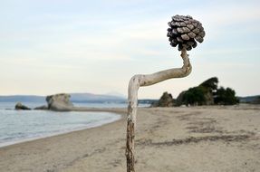 coast of the Aegean Sea