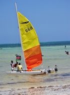 catamaran with a bright sail