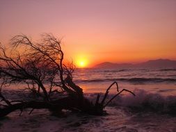 charmingly beautiful beach sunset