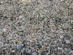 beach sand macro photography