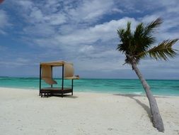 gazebo on a tropical beach