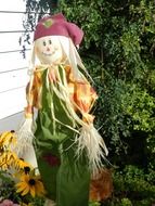 autumn doll scarecrow in the garden