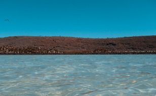 brown coast and blue calm ocean, mexico, paya