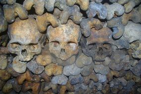 bones and skulls of underground ossuary, france, paris