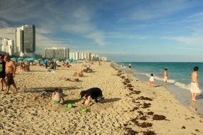 Waterfront Miami Beach, Florida