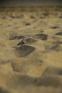 sea white sand