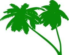 Coconut tree silhouettes