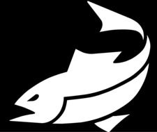 drawing of white tuna fish on the black background
