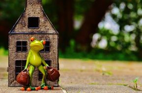 travel frog with bags