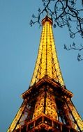 illuminated eiffel tower and branch at evening sky, france, paris