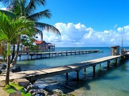Roatan - an island in the Caribbean