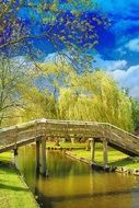 bridge over the river in a beautiful forest