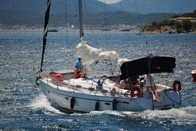 boat in the sea summer