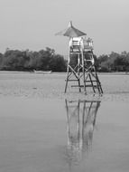 Black and white photo of the lifeguard on the beach
