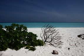 warm white sand in the Maldives