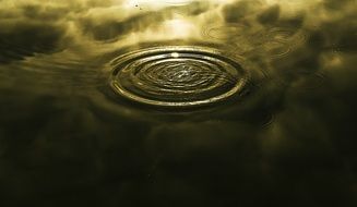 splash water drop