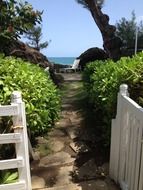 paradise resort