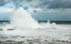 high foamed wave in stormy ocean
