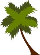 Palm tree clipart