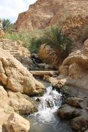 Water oasis in Tunis