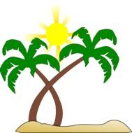 beach palm tree drawing