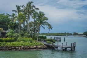 green beach in florida