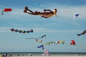 Many different kites