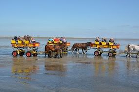 watt drive for tourists on sea beach