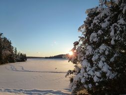 trail in the winter forest in Ontario, Canada
