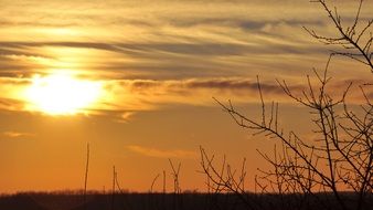 Beautiful sunset in summer