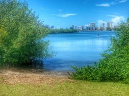 charmingly beautiful lagoon,puerto rico